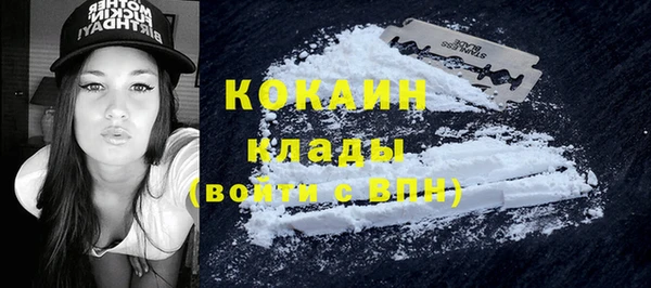 ГАЛЛЮЦИНОГЕННЫЕ ГРИБЫ Карпинск