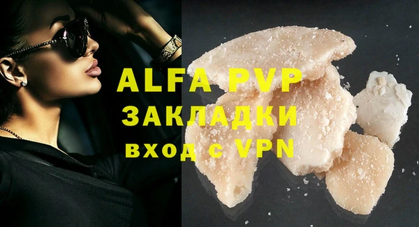 ГАЛЛЮЦИНОГЕННЫЕ ГРИБЫ Карпинск
