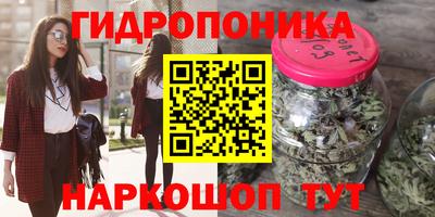 винт Дубна