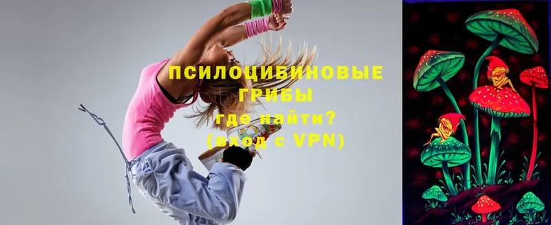 mega ТОР  Калининград  Псилоцибиновые грибы мицелий 