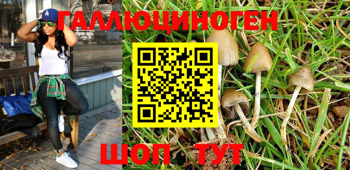 Псилоцибиновые грибы прущие грибы  Калининград 