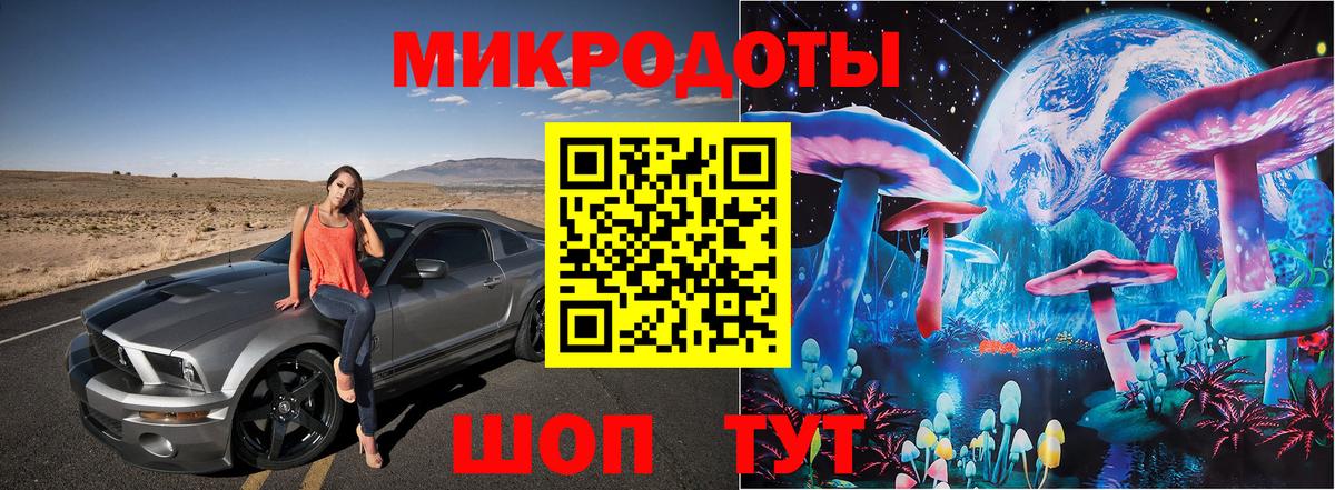 Калининград  Псилоцибиновые грибы прущие грибы  Вход с VPN  наркотики  Галлюциногенные грибы Psilocybe 